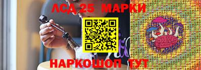 гидра Краснодар